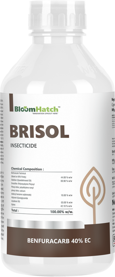 Brisol