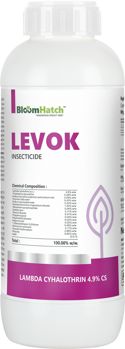 Levok