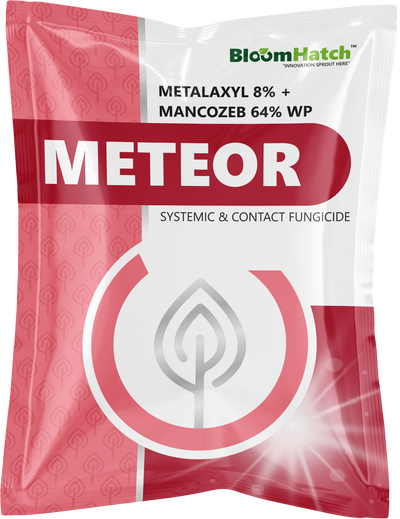 Meteor