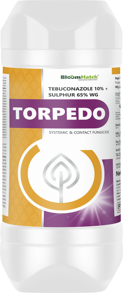 Torpedo