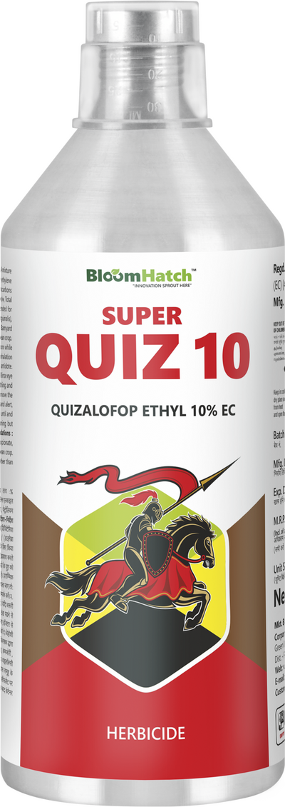 SUPER QUIZ 10