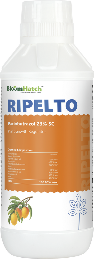 Ripelto