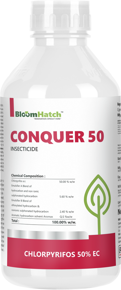 Conquer 50