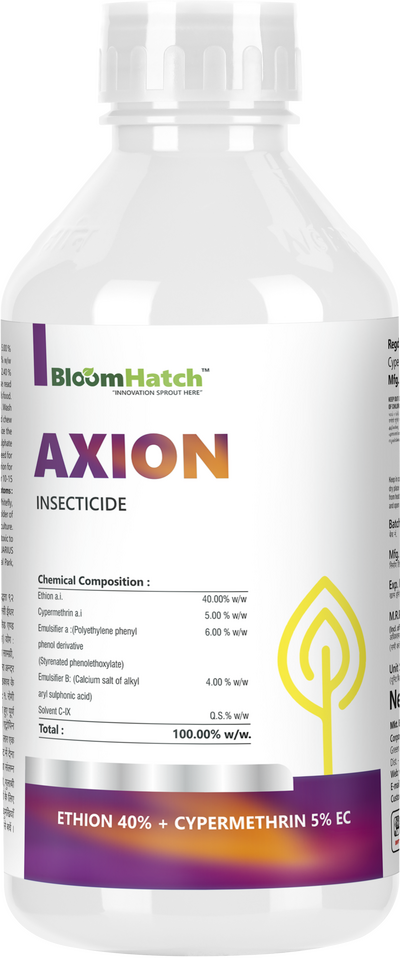 Axion